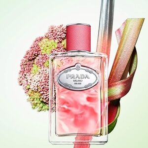 Prada Infusion de Rhubarbe Eau de Parfum